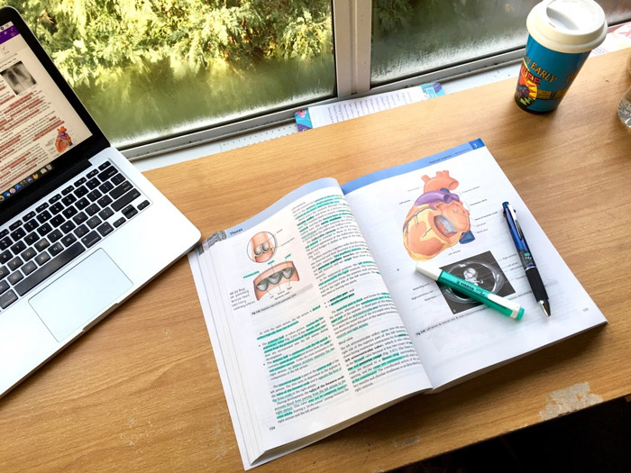 Estudiar Medicina en la Universidad del Desarrollo: requisitos y aranceles